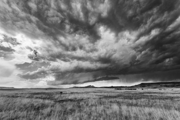 A Storm Chasing Adventure 1