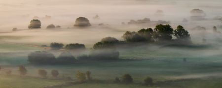 Glastonbury_2020_03.jpg