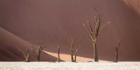 Namibia_Soussvlei_001.jpg