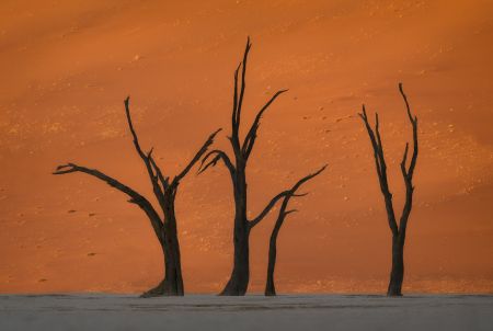 Namibia_Soussvlei_005.jpg