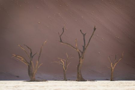 Namibia_Soussvlei_007.jpg