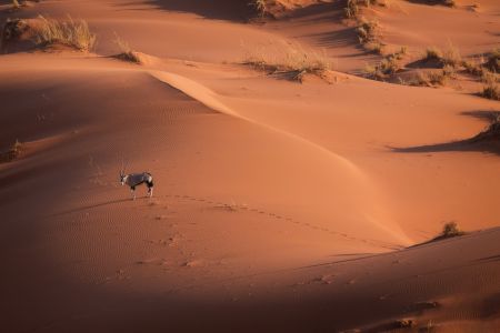 Namibia_Soussvlei_flight_001.jpg